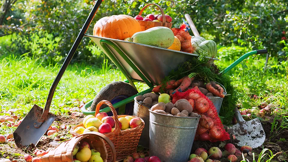 Фото: freepik.com