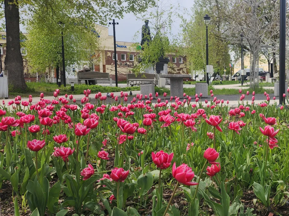 Фото: МедиаБанк Подмосковья/Хавива Фонина
