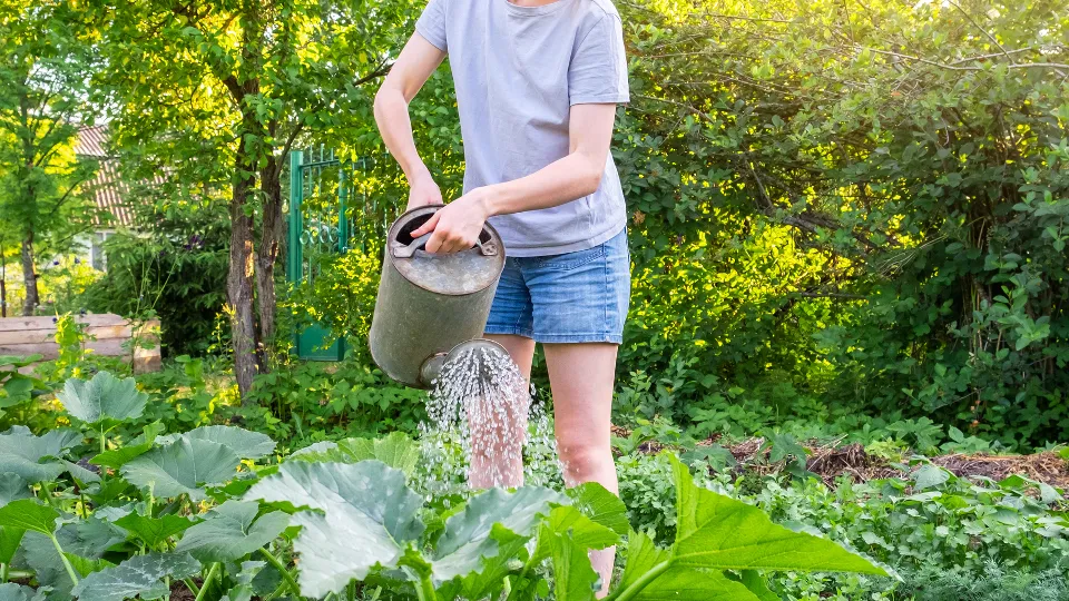 Фото: istockphoto.com