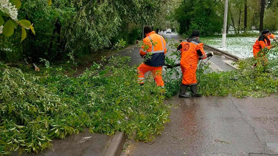 Фото: пресс-служба администрации г.о. Королев