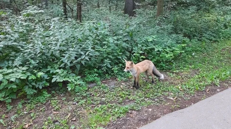 Фото соцсети.
