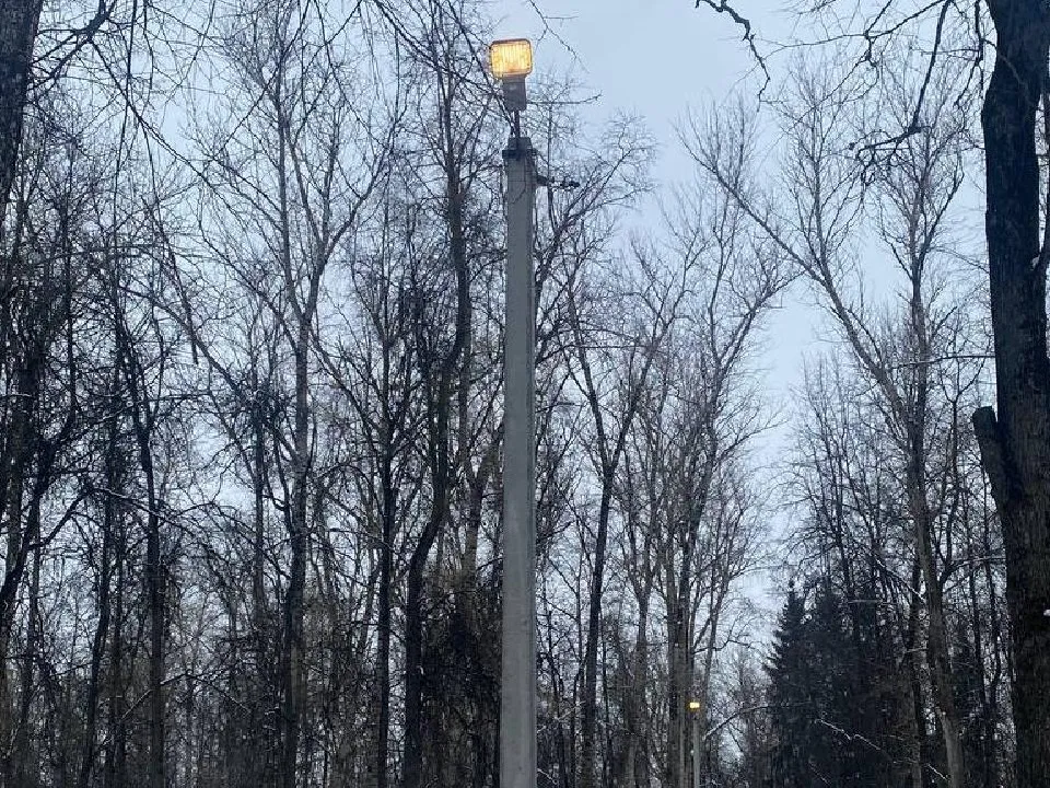 Фото: пресс-служба администрации г.о. Воскресенск