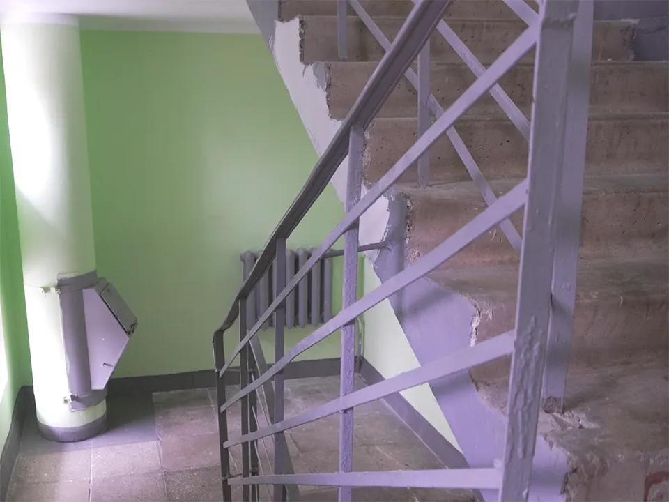 Фото: МедиаБанк Подмосковья/Елена Аботурова<br>