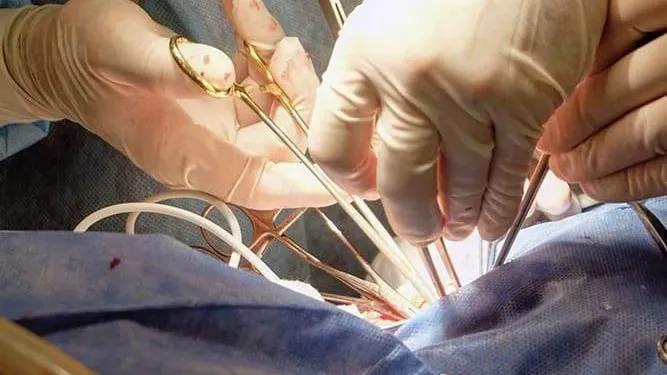 Пресс-служба Минздрава МО