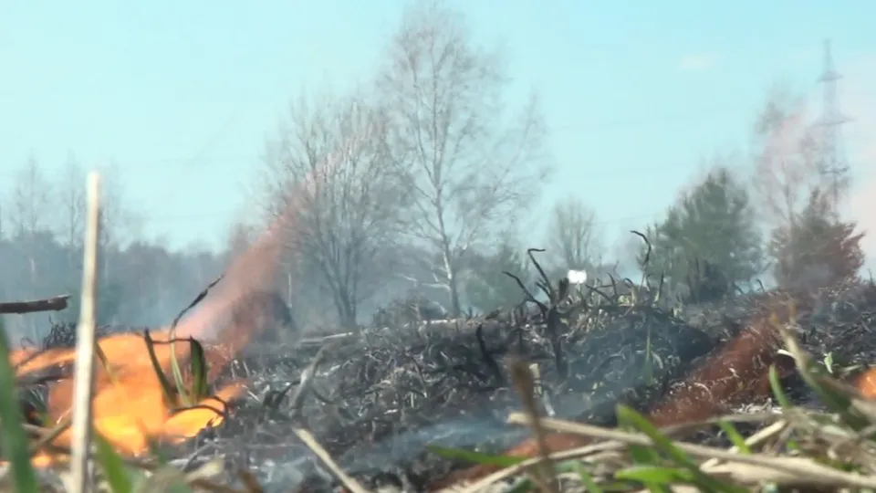 Фото: REGIONS/Наталия Надточая