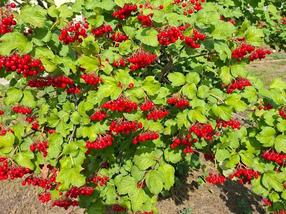 Фото: REGIONS/Юлия Габбасова