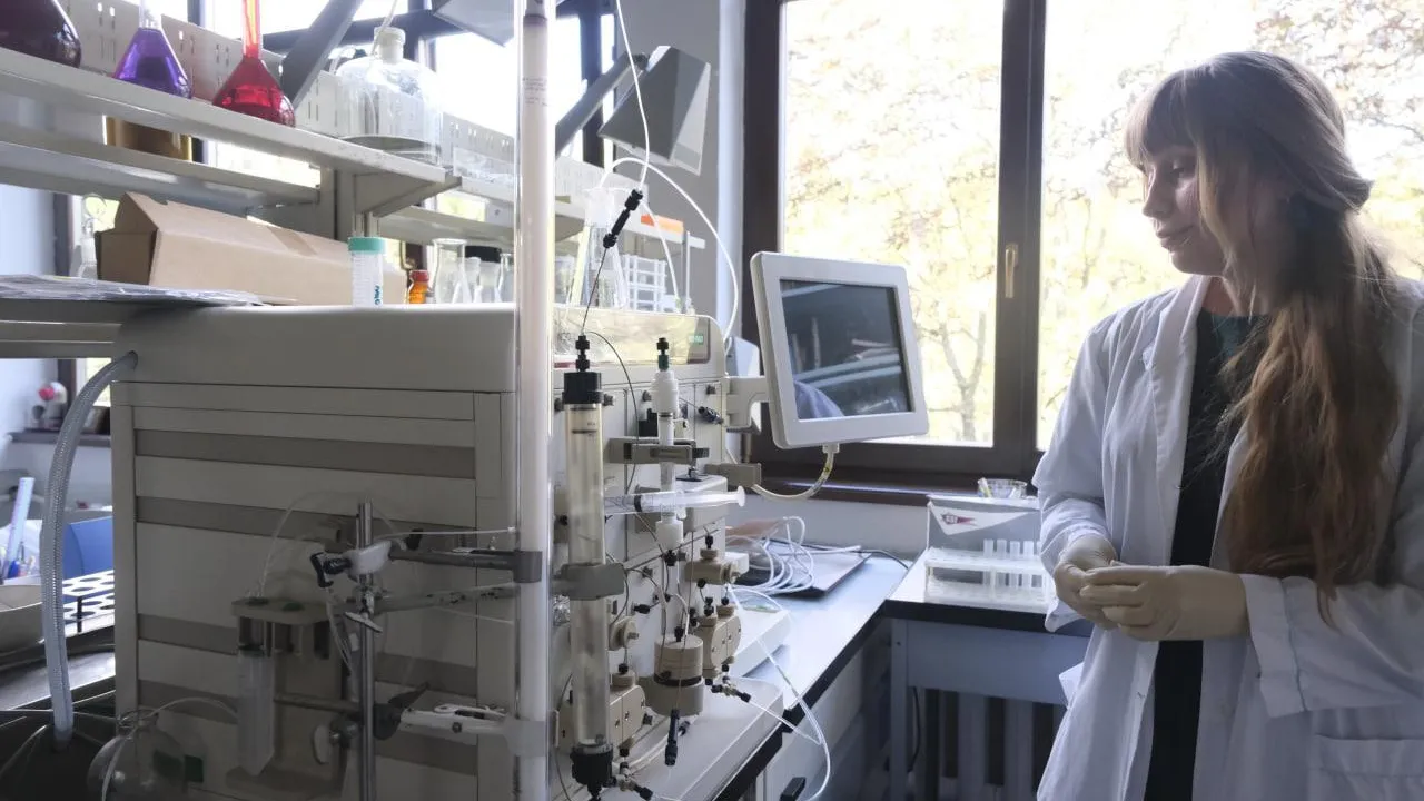 Фото: Мария Панина