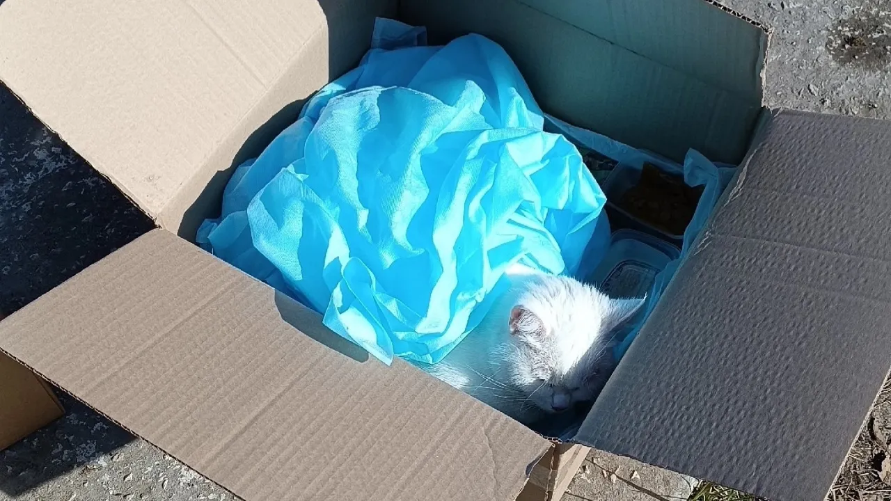 vk.com/Подслушано Павловский Посад