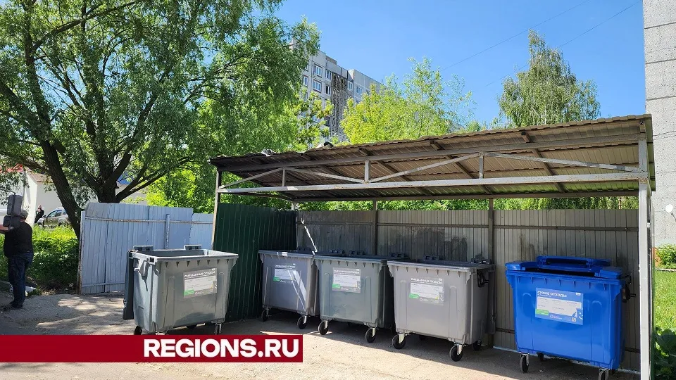 Фото: Светлана Плотникова