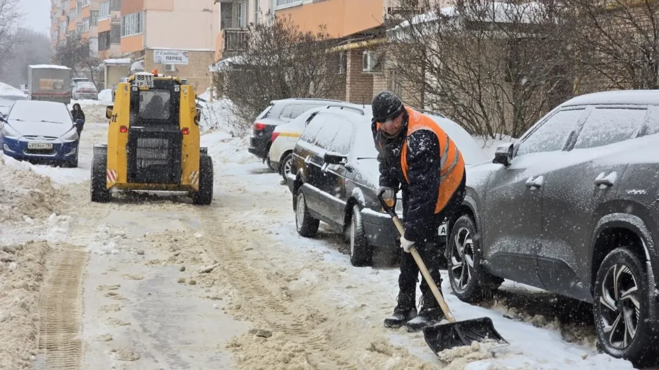 REGIONS/Яна Шаливская