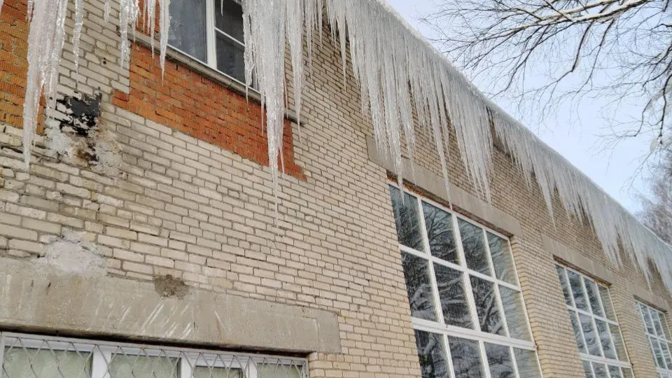 Фото: ТВ «Поиск»