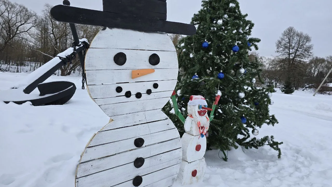 Фото: МедиаБанк Подмосковья\Яна Шаливская