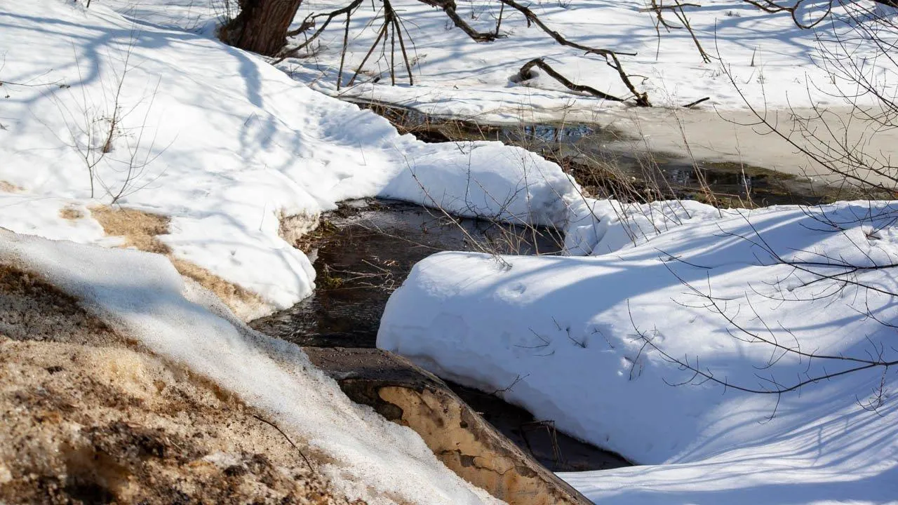 REGIONS/Дарина Левкина