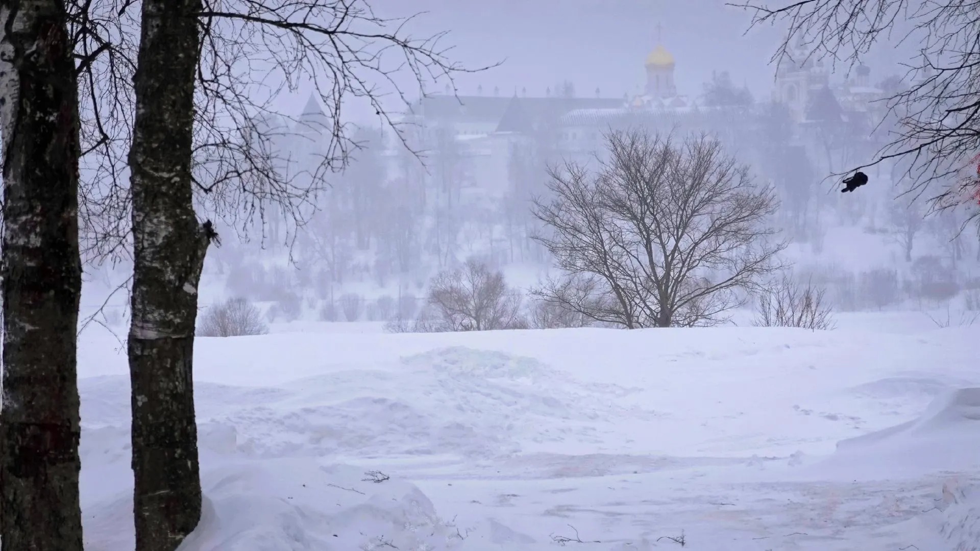 личный архив Евгении Шевниной