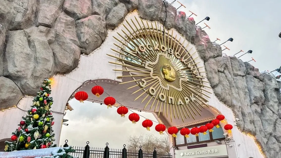 Фото: Московский зоопарк/ВКонтакте.