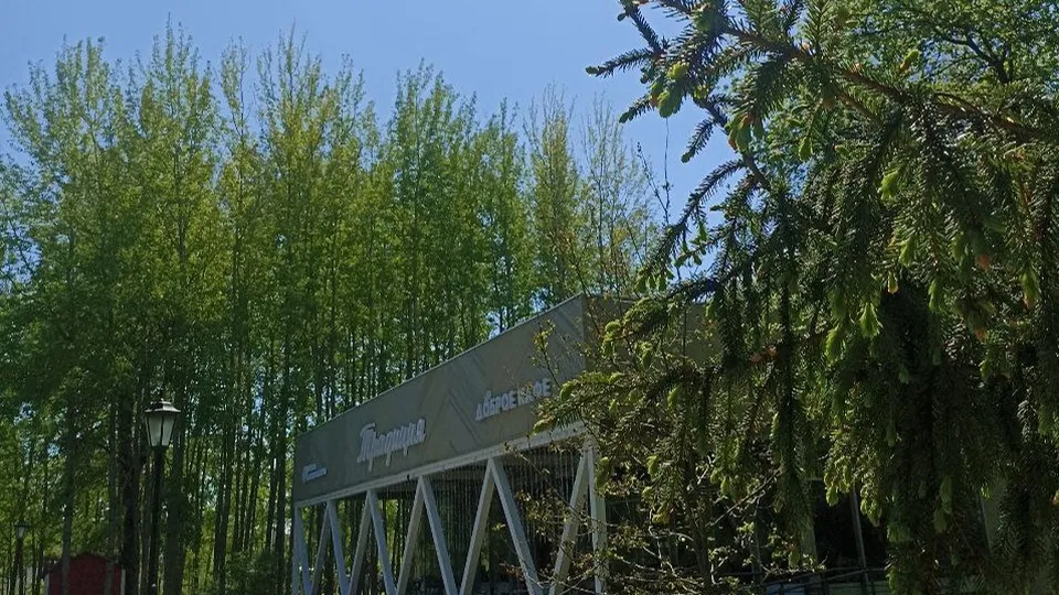 Фото: t.me/parkzaharovoChat