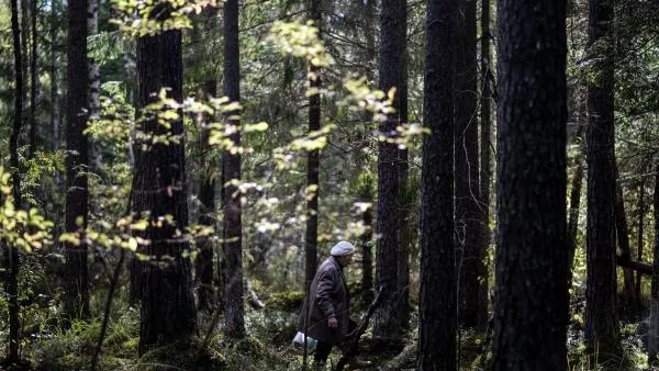 Полицейские в Солнечногорске помогли двум заблудившимся в лесу пенсионеркам