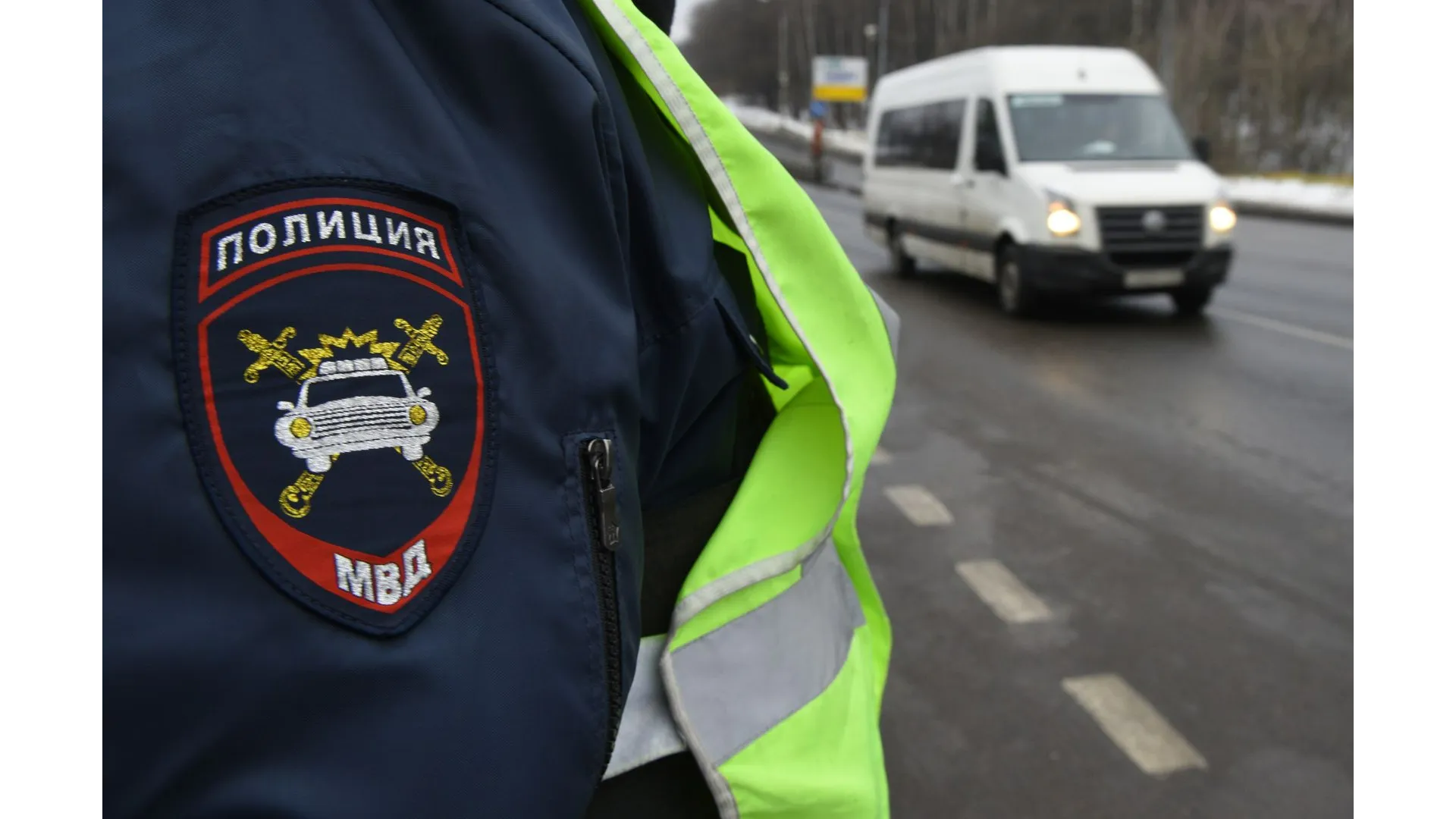 Фото: ГУ МВД России по Московской области