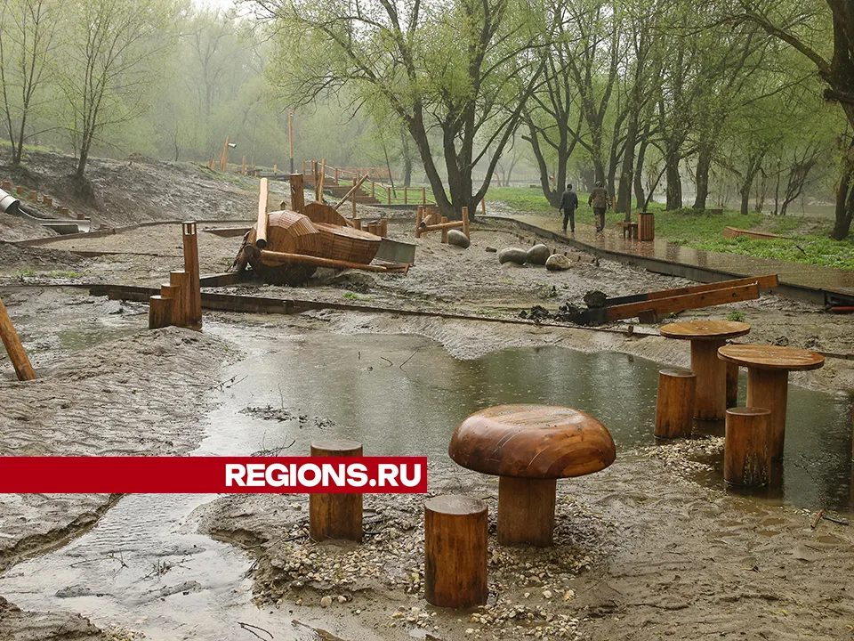 Фото: Евгений Мазепов