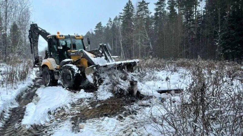 В рамках субботника за один день убрано пять лесных участков в округе Лосино-Петровский