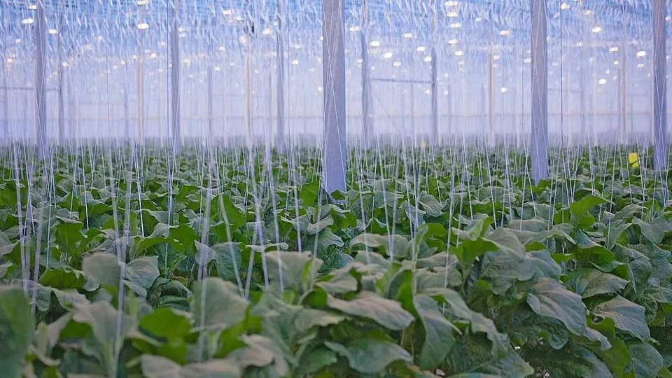 Фото: Министерство экономики и финансов Московской области