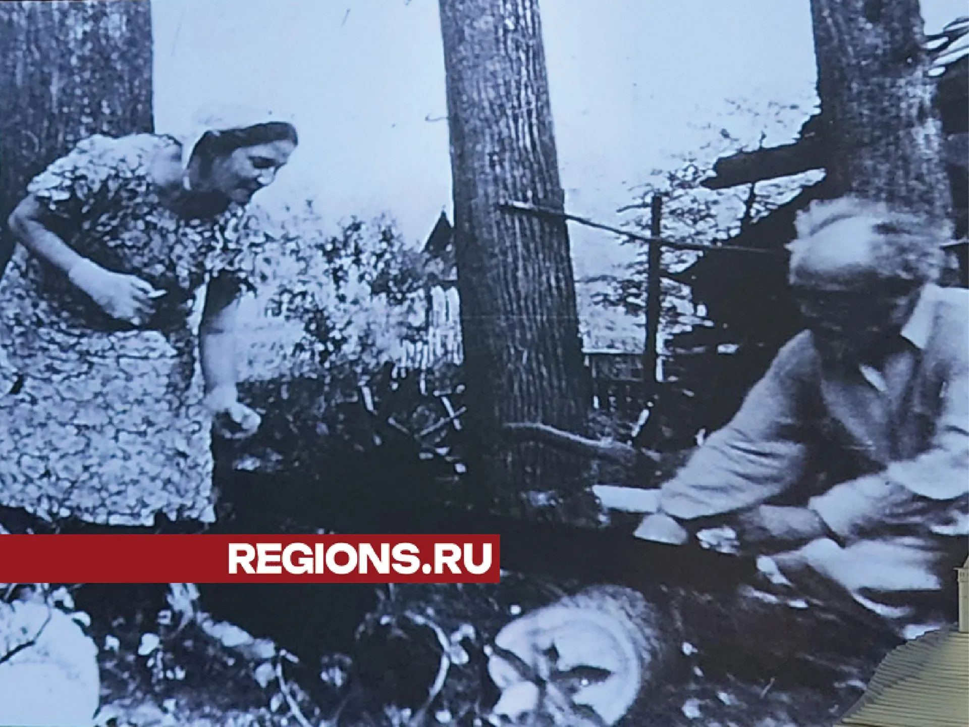 Фото: Хавива Фонина