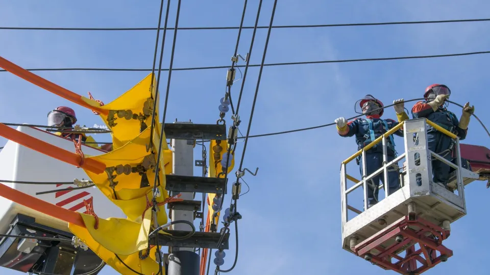 Фото: ПАО «Россети Московский регион»
