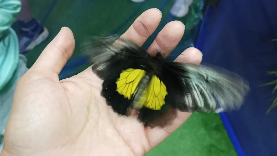 Фото: ГБУСО МО «КЦСОР Химкинский»