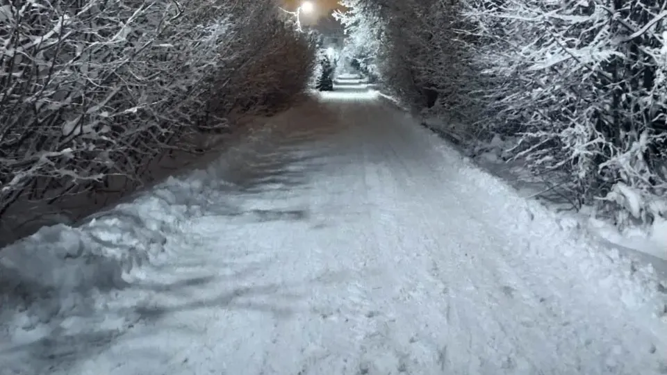 Фото: REGIONS/Роман Малышенко