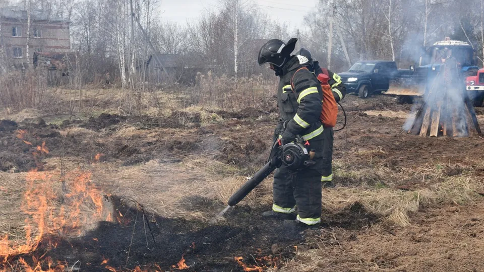 Фото: МедиаБанк Подмосковья/Владимир Останин