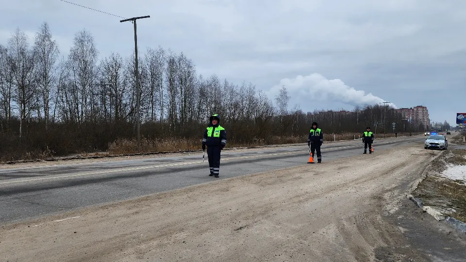 Фото: МедиаБанк Подмосковья/Вера Коренева