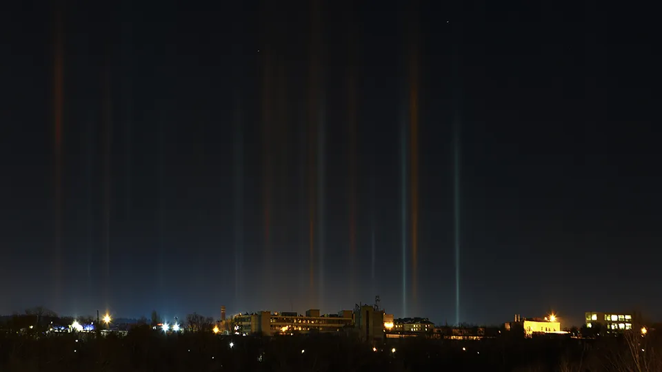 Фото: istockphoto.com/Kurguzova