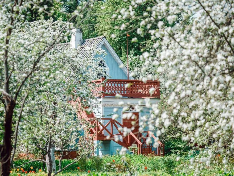 Фото: администрация м.о. Чехов