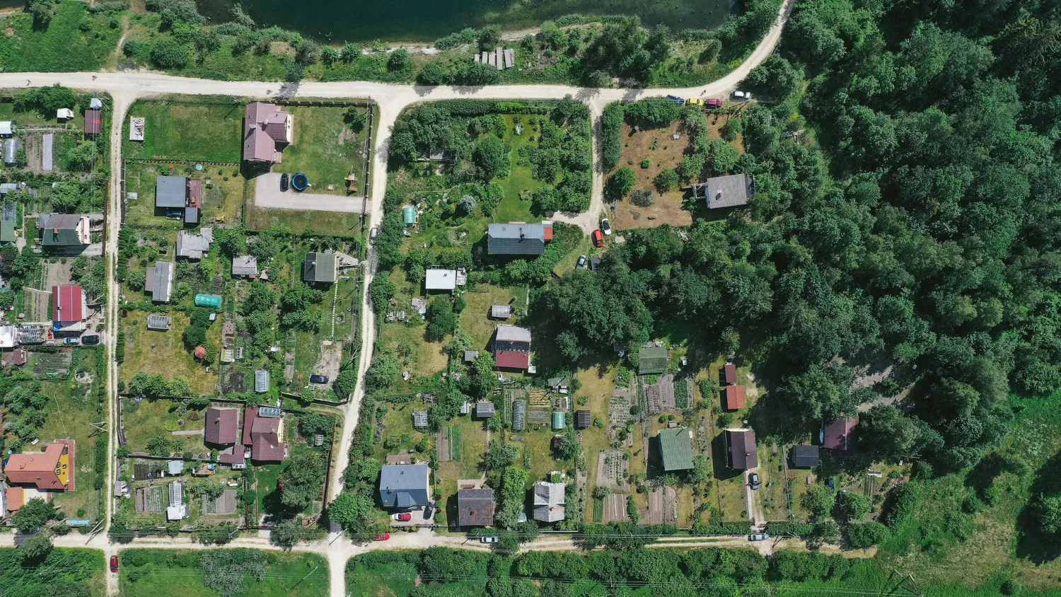 Фото: freepik.com