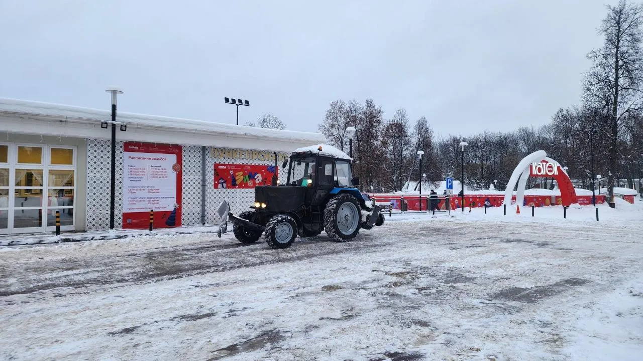 REGIONS/Мария Шигорева