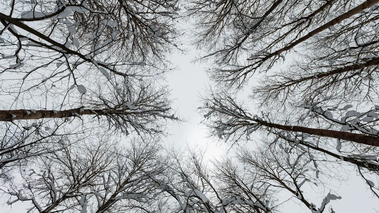 медиасток.рф