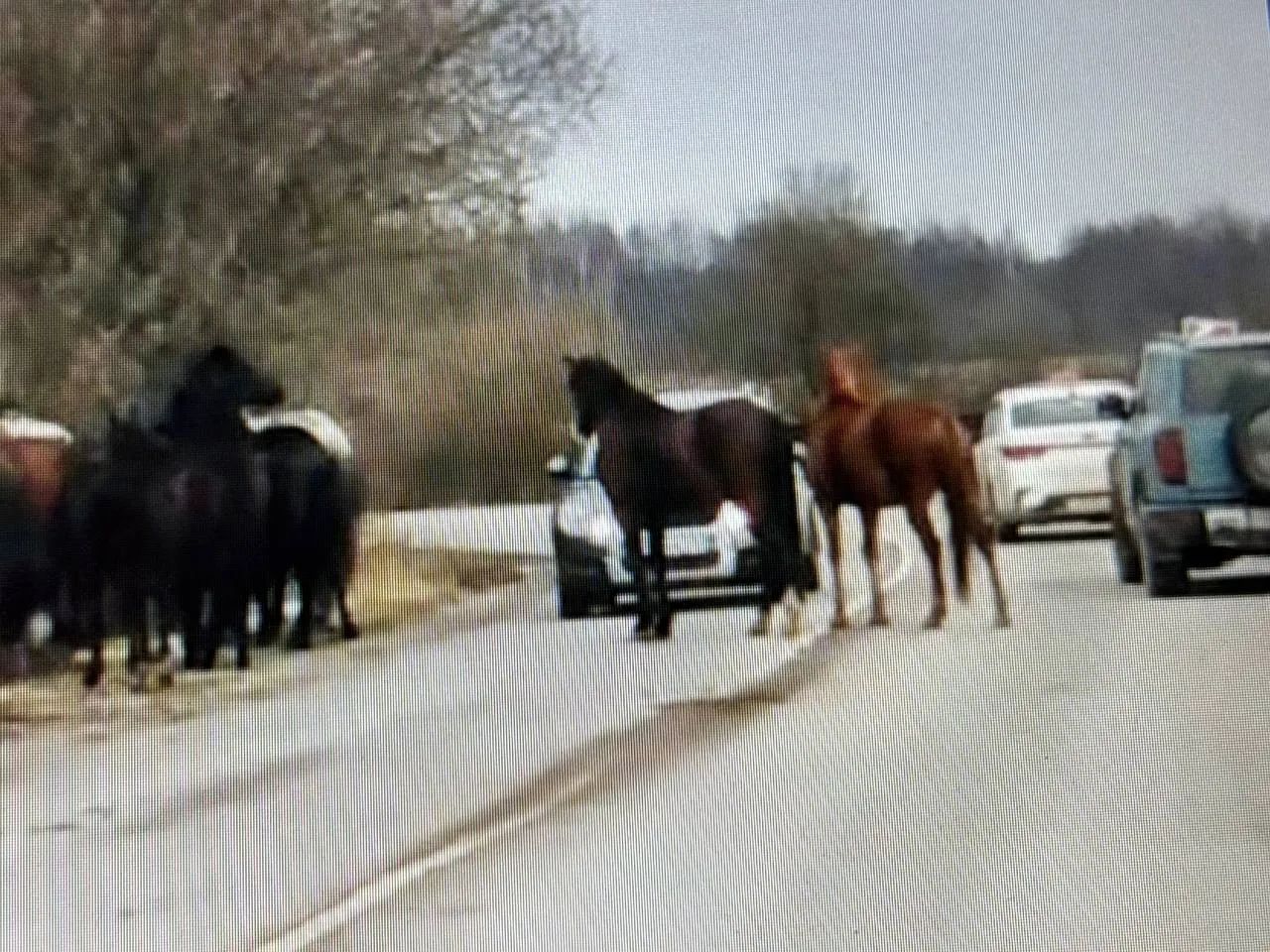 Фото: REGIONS&nbsp;