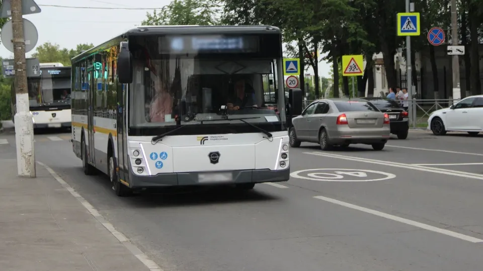 Фото: REGIONS/Василий Тремасов