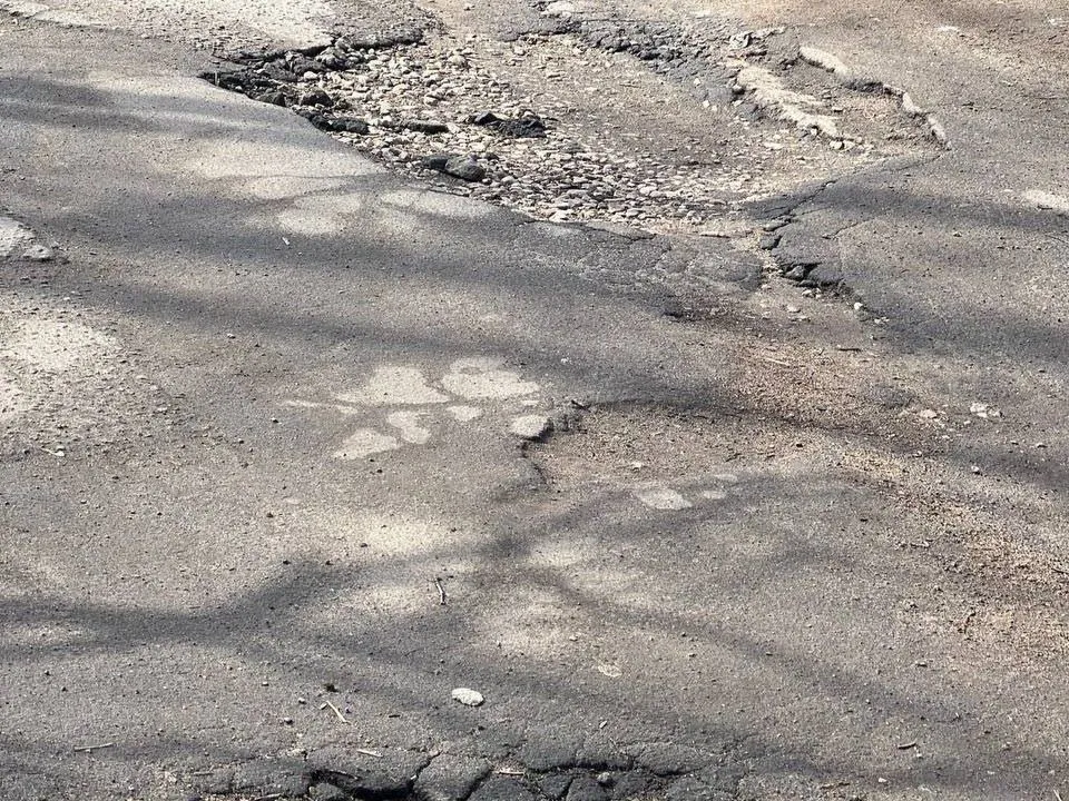 Фото: администрация м.о. Чехов