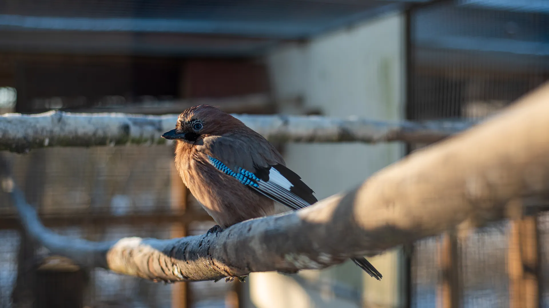 медиасток.рф