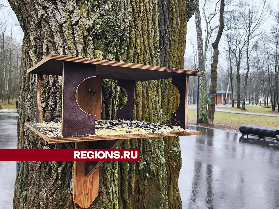 Фото: Андрей Семибратов<br>