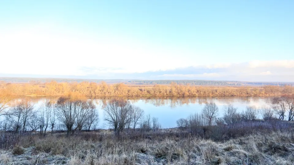 Фото: пресс-служба администрации г.о. Кашира