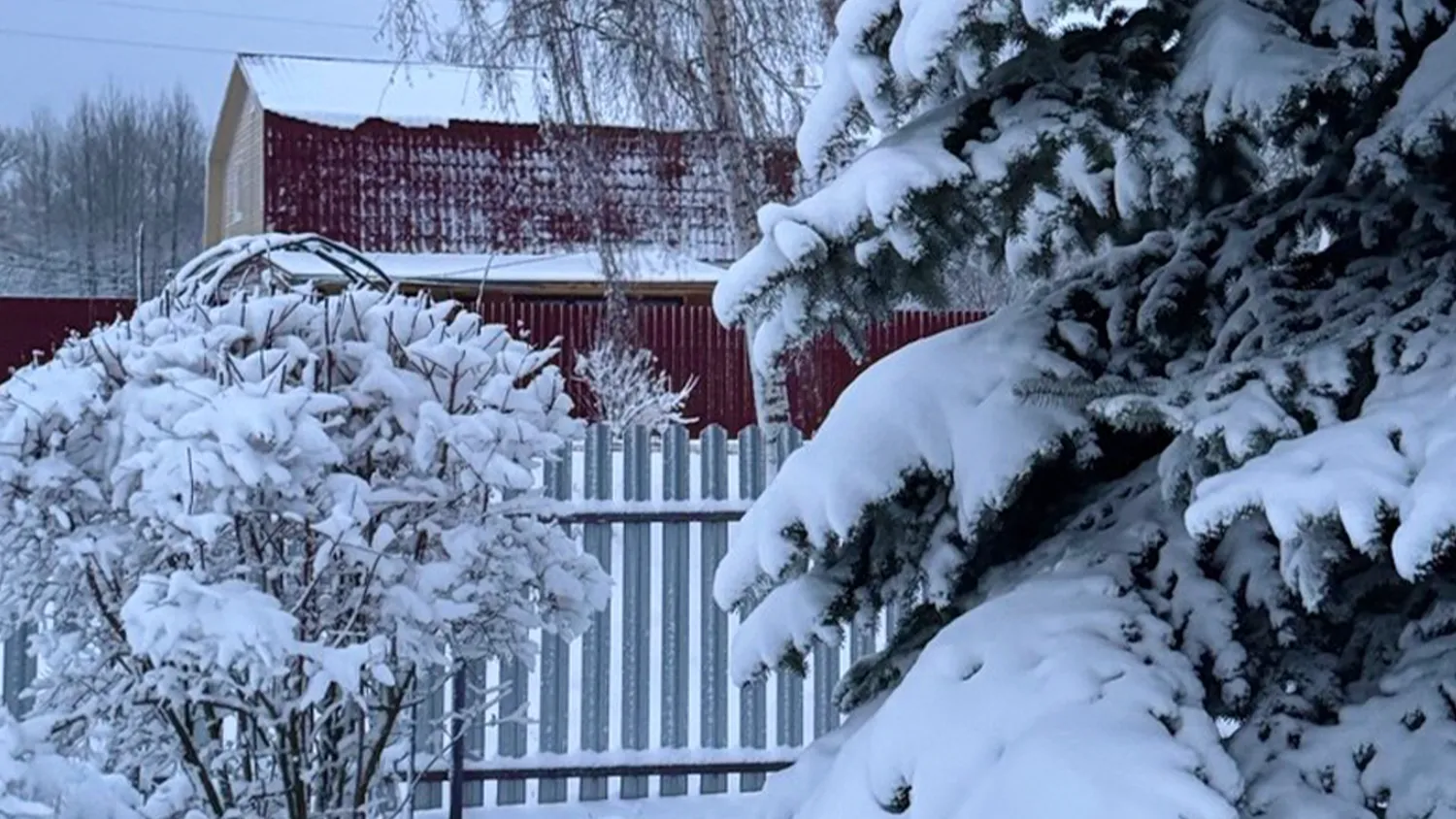 Фото: Дарина Левкина/REGIONS