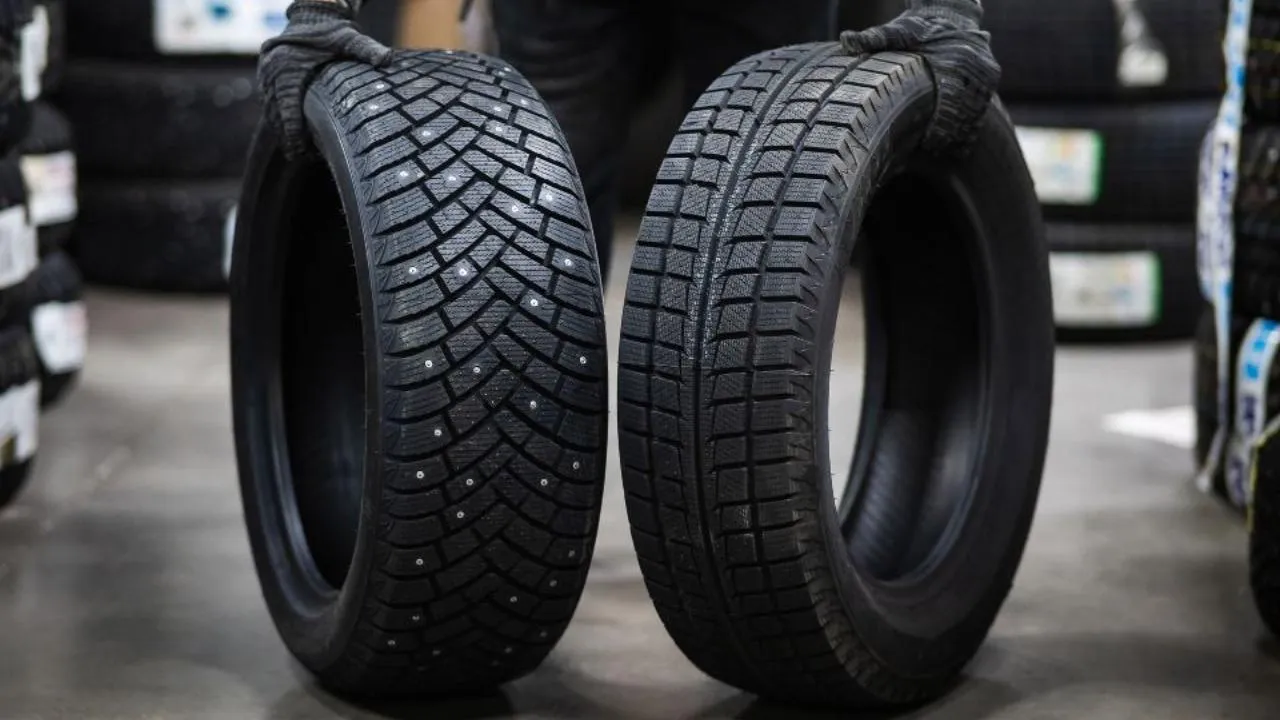 istockphoto.com/Anna Reshetnikova