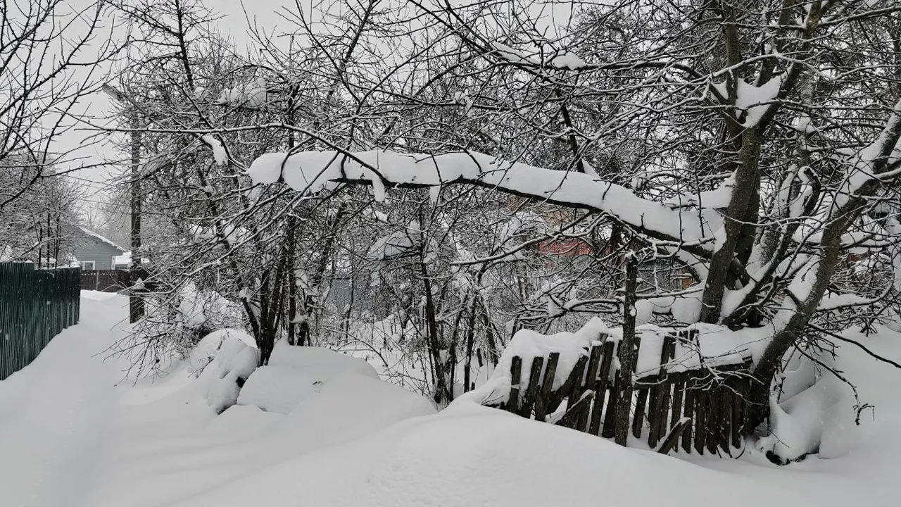 Фото: REGIONS/Евгений Мазепов