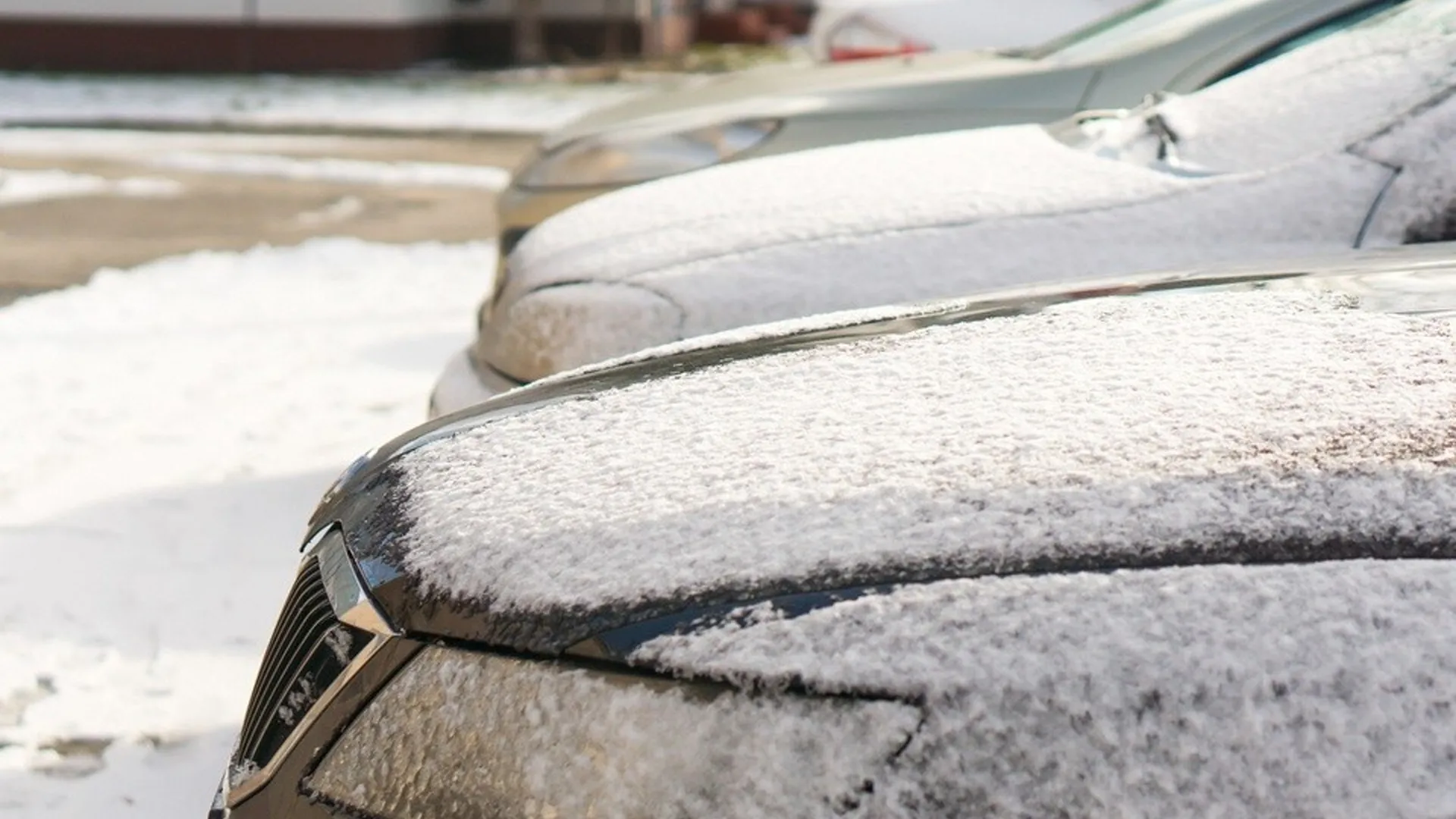 Фото: freepik.com