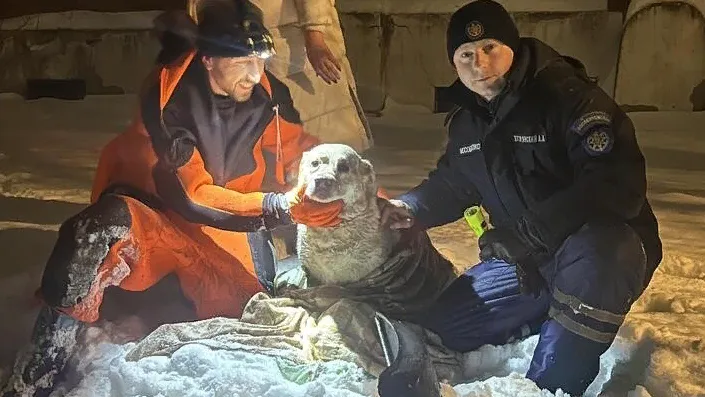 Фото: ГКУ МО «Мособлпожспас»