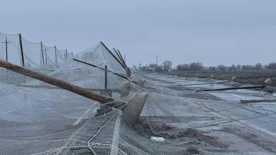 «Политика Страны»