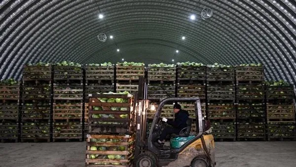 Новый склад для сельхозпродукции планируют построить в Подмосковье