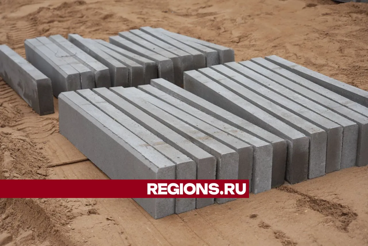 Фото: REGIONS/Дмитрий Зайчиков